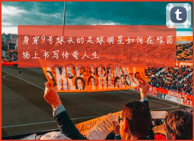 身穿9号球衣的足球明星如何在绿茵场上书写传奇人生