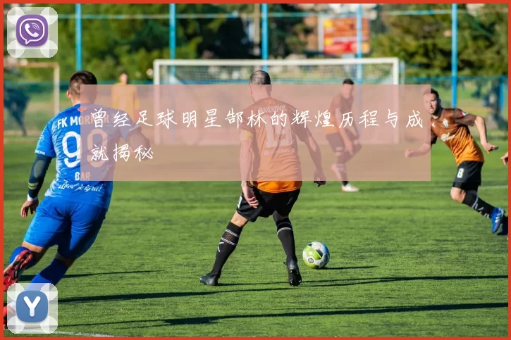 曾经足球明星郜林的辉煌历程与成就揭秘