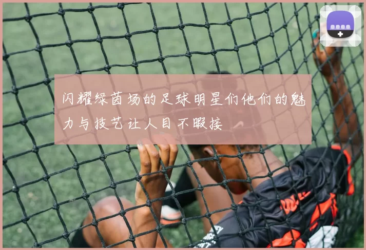 闪耀绿茵场的足球明星们他们的魅力与技艺让人目不暇接